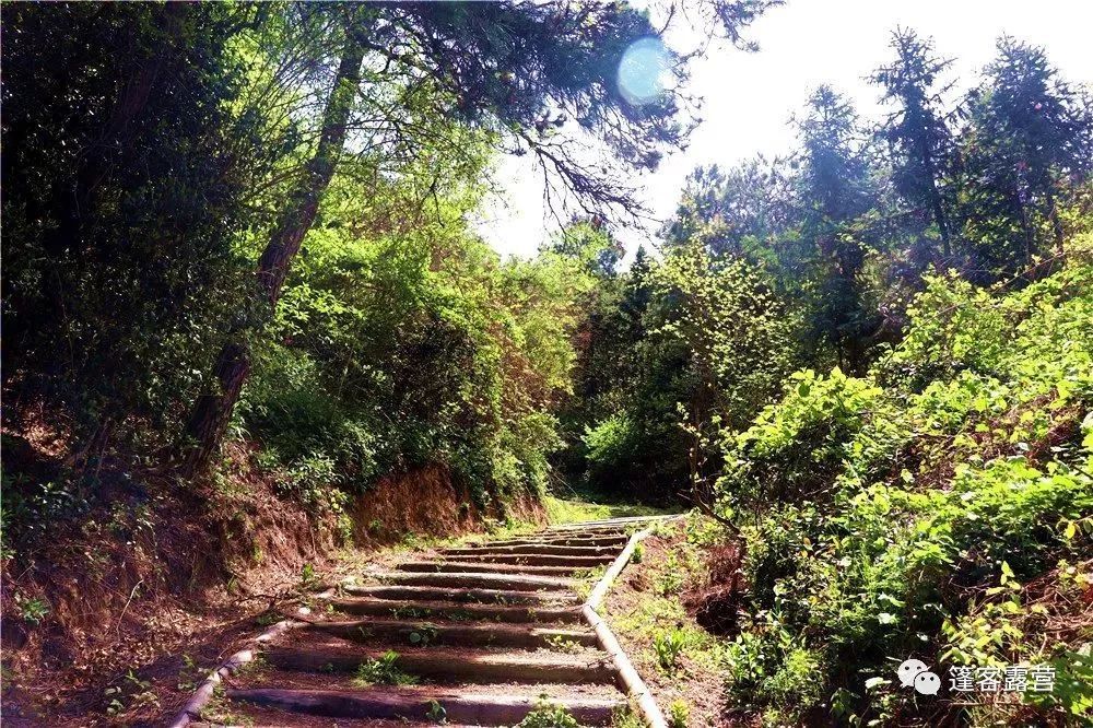 新县大别山露营地