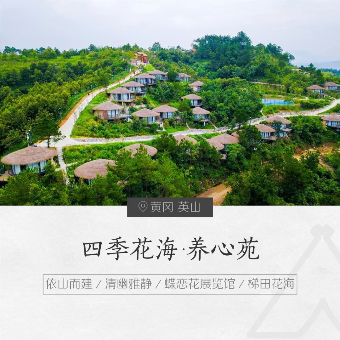英山四季花海