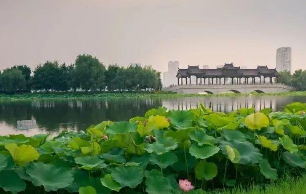 武汉沙湖公园有什么好玩的