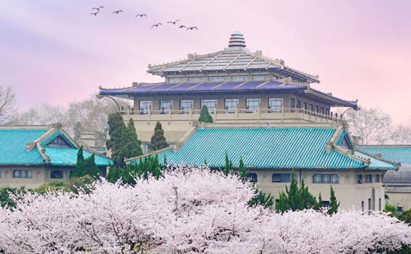 武汉大学