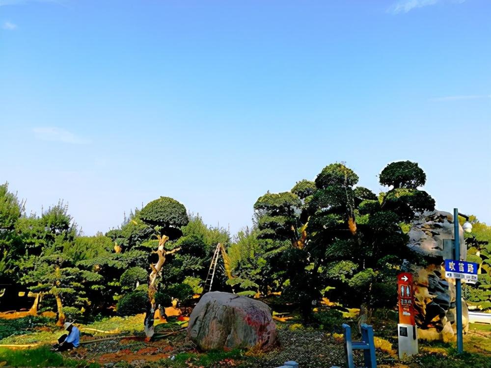 武汉最值得去的公园景区,感受大自然的魅力(图4) 武汉最值得去的公园景区,感受大自然的魅力