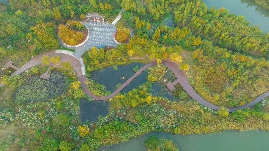 湖北公园有什么好玩的，20个湖北省最美城市公园名单